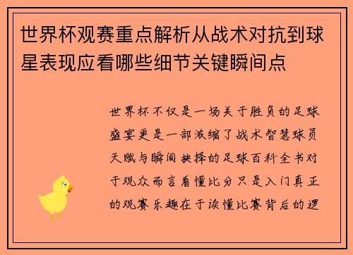 世界杯观赛重点解析从战术对抗到球星表现应看哪些细节关键瞬间点